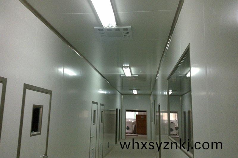 淨(jing)化車間(jian)